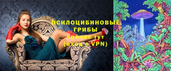прущие грибы Балахна