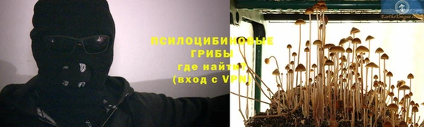 винт Армянск