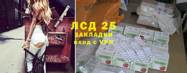 прущие грибы Балахна